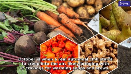 Northampton Chronicle & Echo Morning Update 13 October, 2025