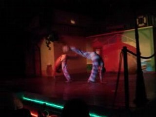 Demo capoeira tours wild world dance