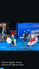 domenica in il messaggio di vittorio sgarbi