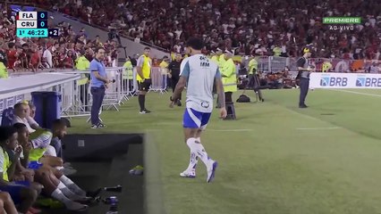 【JOGO COMPLETO】 Flamengo x Cruzeiro | 2025 Campeonato Brasileiro