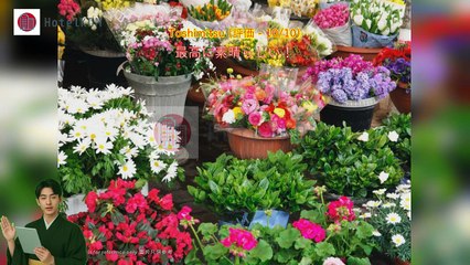 HotelKDM | レビュー ロイヤル プラザ ホテル