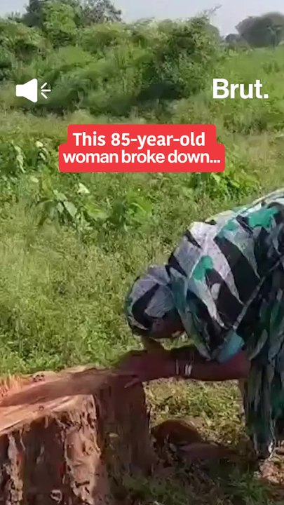 She cried for a tree...