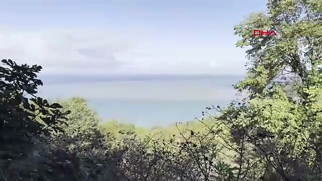 Karadeniz sahilinden korkutan görüntü: Masmaviydi, çamura bulandı!