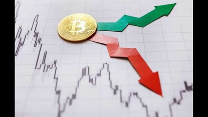 What the Bitcoin Crash Teaches Us: Why HODL Always Wins