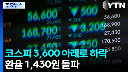 코스피 3,600 아래로 하락...환율 1,430원 돌파 / YTN