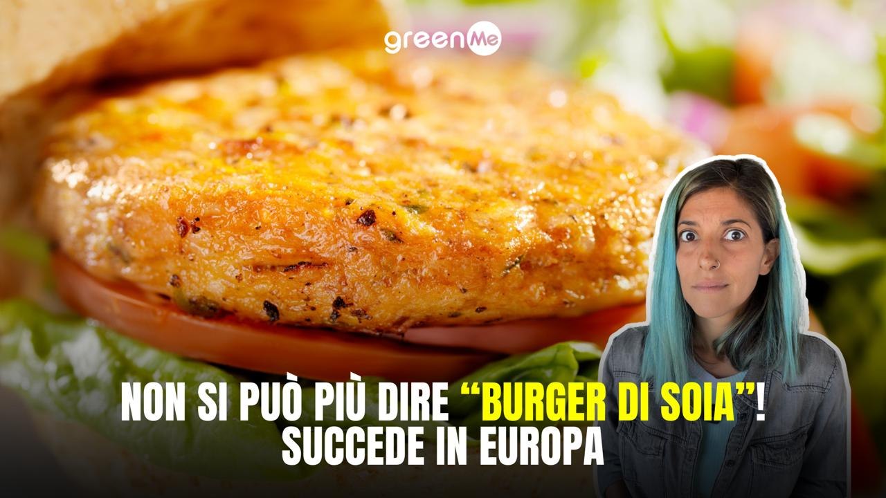 Non si può più dire "burger di soia"! Succede in Europa