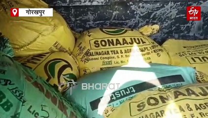 डिटर्जेंट-मिल्क पाउडर से तैयार किया जा रहा नकली खोया; दीपावली पर सेहत बिगाड़ेंगी ये मिलावटी मिठाइयां, ऐसे करें पहचान