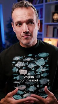 Le bug du vous du futur (on appelle aussi l'erreur de projetction, c'est passionnant)