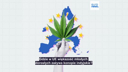 Gdzie w UE większość młodych dorosłych zażywa konopie indyjskie?