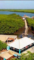 The Gambia River: A Vital Waterway