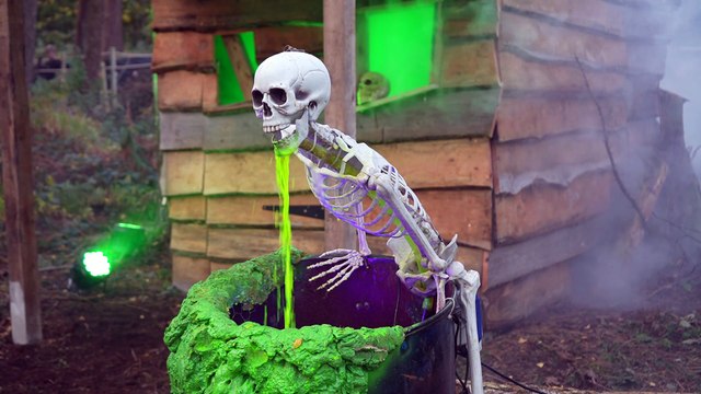 Yorkshire Wildlife Park is gearing up for its spook-tacular Halloween extravaganza