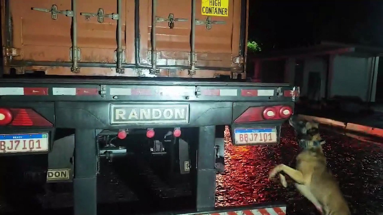 Batalhão de Polícia Rodoviária apreende maior carga de drogas com apoio de cães de faro da história do estado