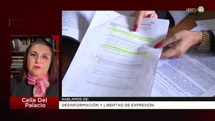 Desinformación y libertad de expresión | Celia Del Palacio