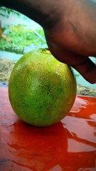 I Cut This Pomelo Differently — Fruit Cutting Skills