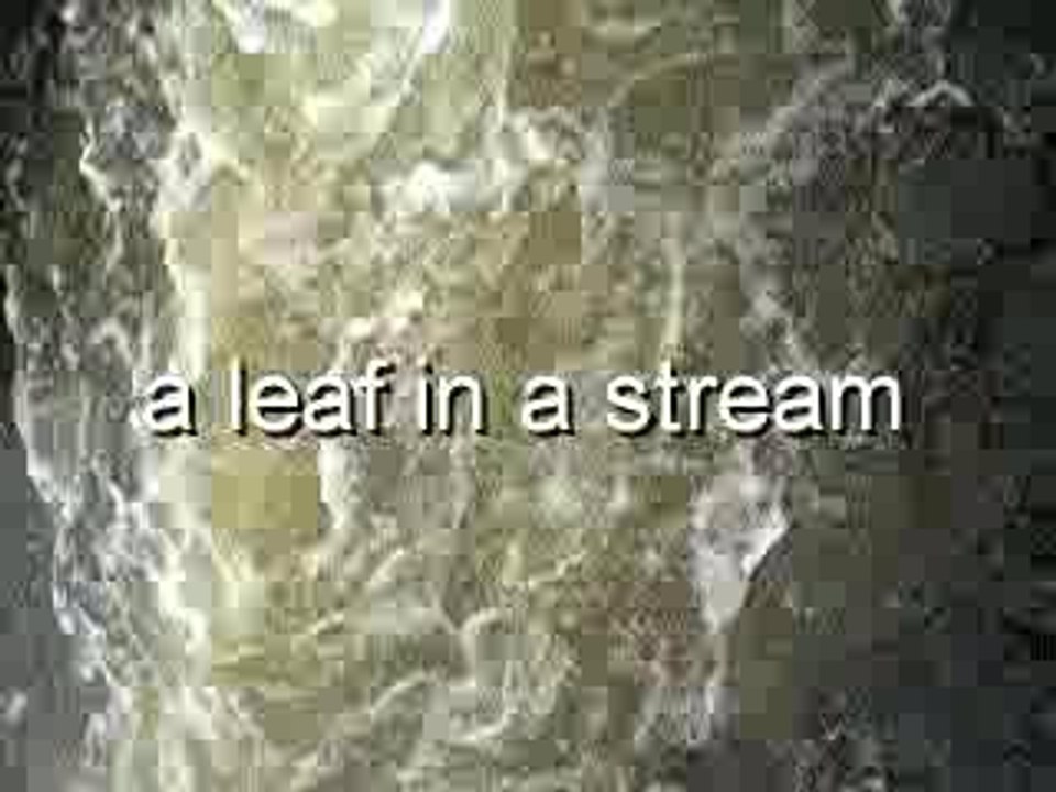 a leaf in a stream