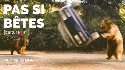 Compilation Culture Pub - Pas si bêtes