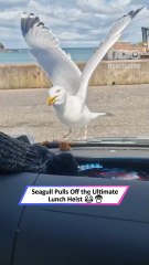 Dinosaur Turns Around and Terrifies Girl – Hilarious Scare Caught on Camera|| Heartsome 💖