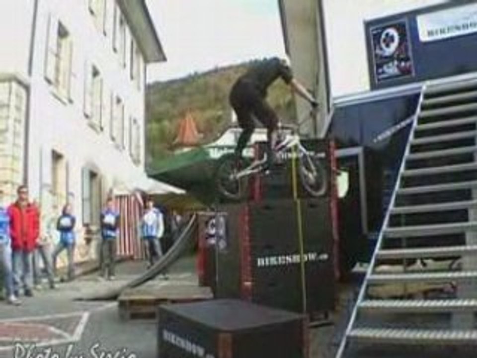 Loris braun