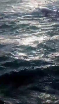 Pescadores resgatados após 24 horas de naufrágio na Vigia