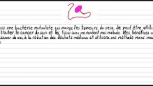 Une bactérie qui mangeuse les tumeurs du sein