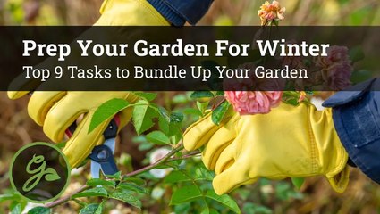 How To Prepare Your Garden For Winter: Cleanup & Protection Tips