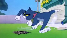Tom And Jerry - 051 - Safety Second [1950]