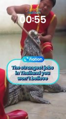 The strangest jobs in Thailand you won’t believe
