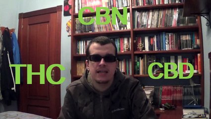 Entendiendo las drogas: Efectos del cannabis