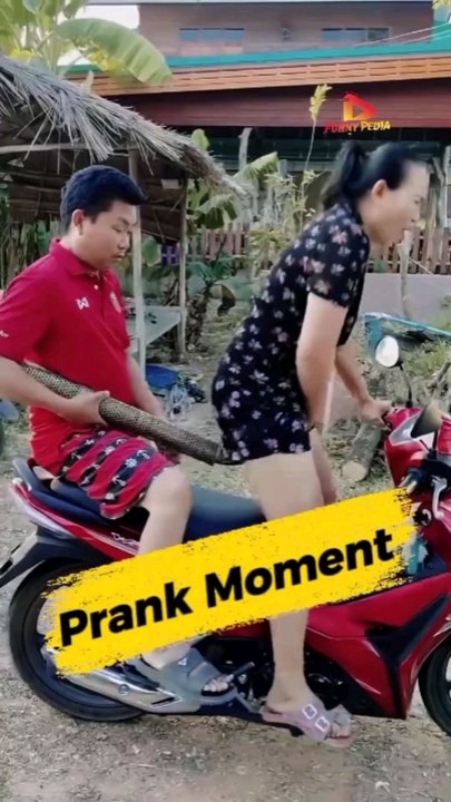 Funny Videos #2