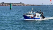 Quiberon | Port Maria, Ferry et Chalutiers | TV Quiberon 24/7