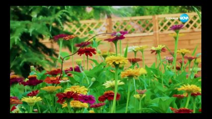 Игри на Волята Сезон 7 | Епизод 32 | 13.10.25 | Част 4