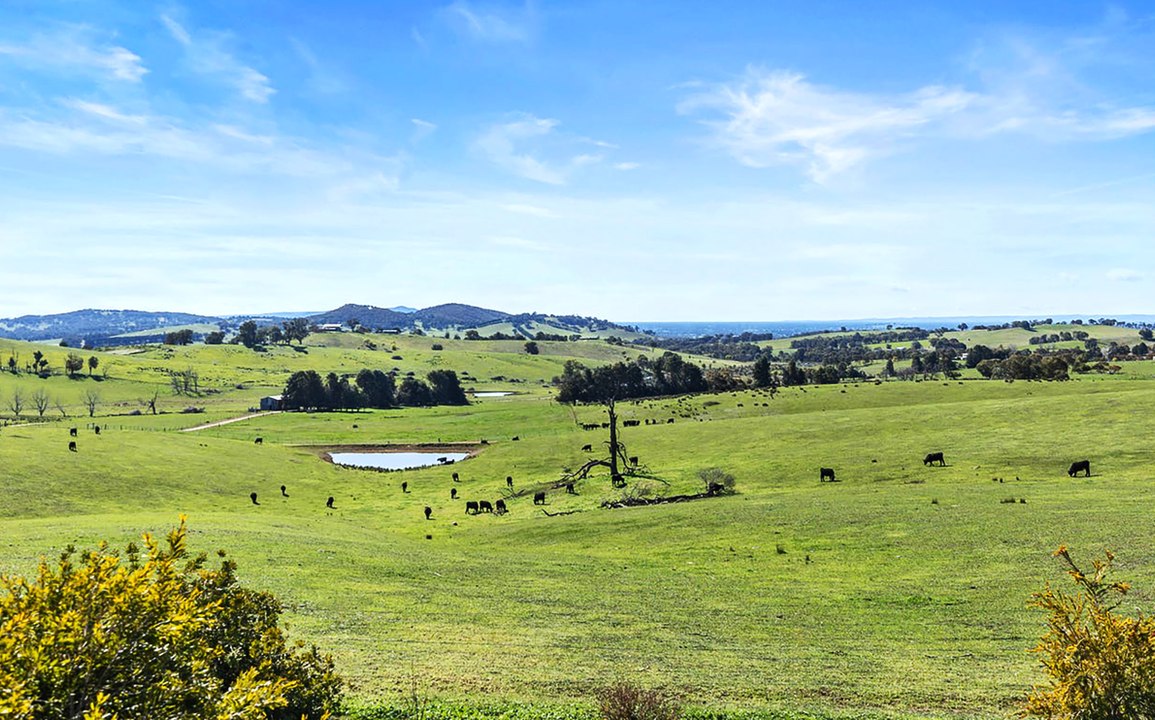 Former North-East dairy farm finds a buyer at auction.