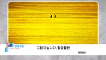 [포토오늘] 그림 아닙니다, 황금들판  / YTN