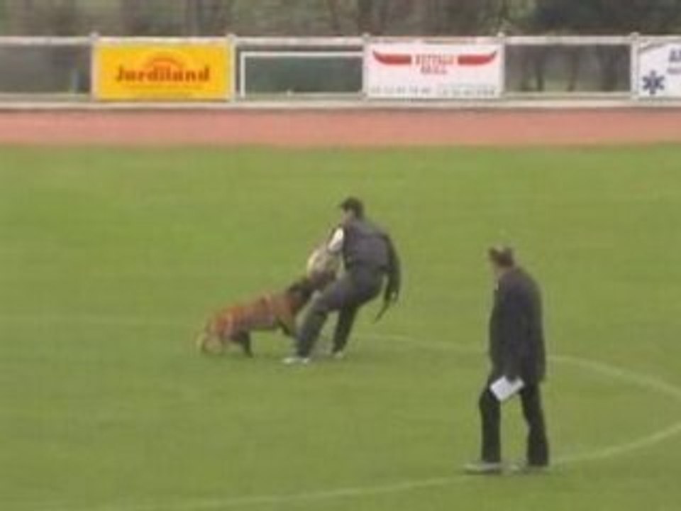 finale  r.c.i 2008