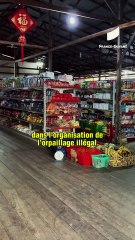[Guyane] Haut-Maroni : le coeur empoisonné de l'orpaillage illégal