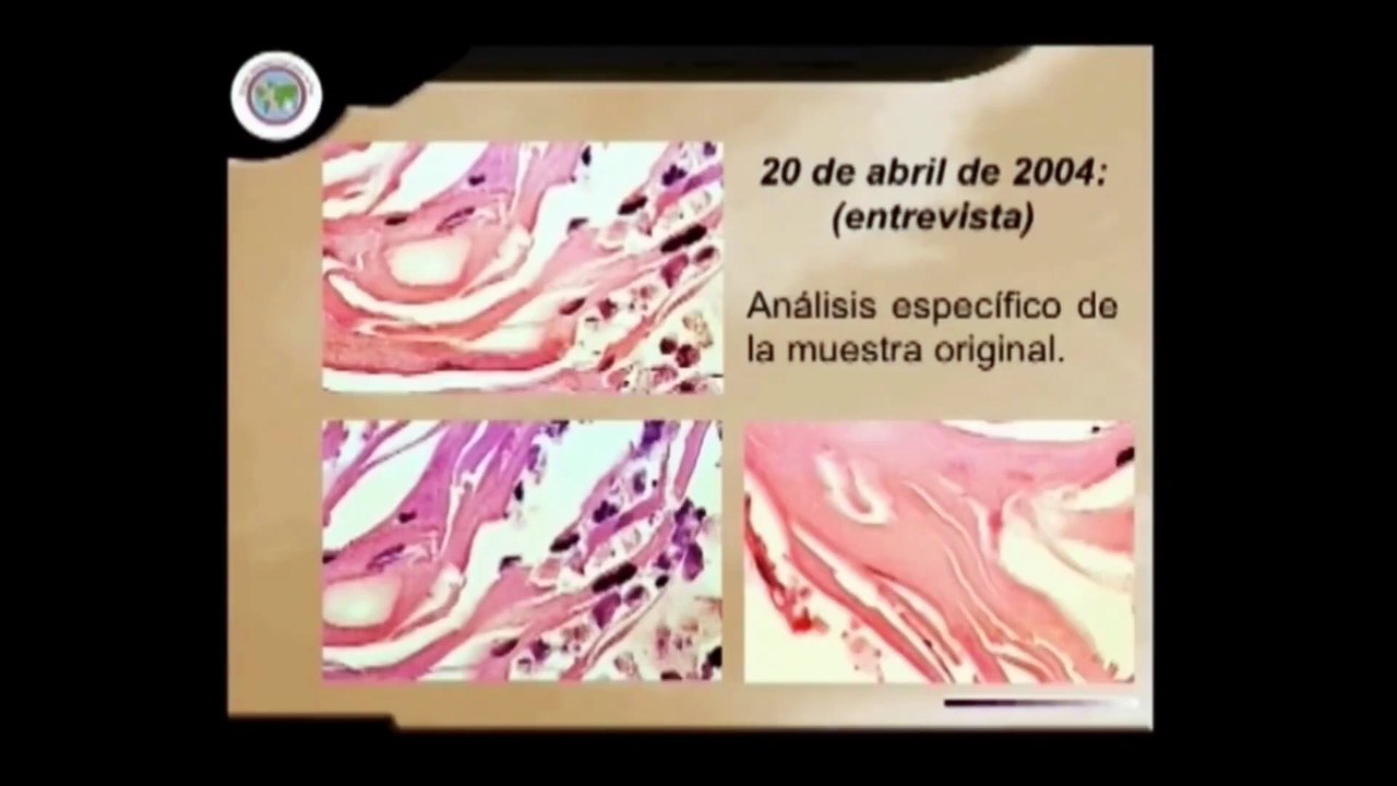 Milagros Eucarísticos 01