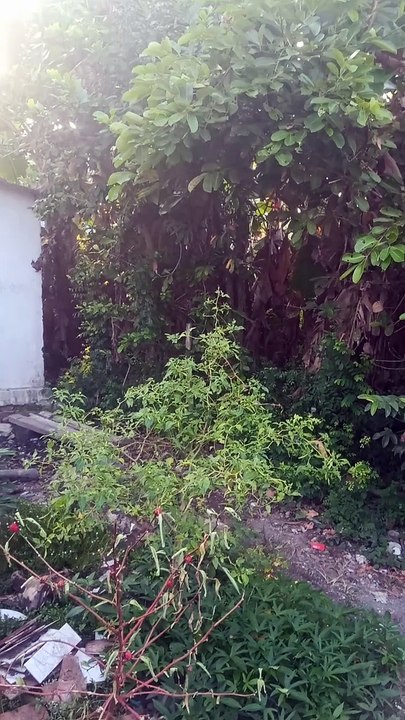 Menikmati suasana pagi