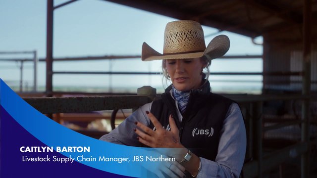 JBS commentary on Angus feeder steers and mandatory vaccination