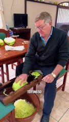 Família Rudnick Mostra Como Fazer Chucrute Tradicional em São Bento do Sul 🌭