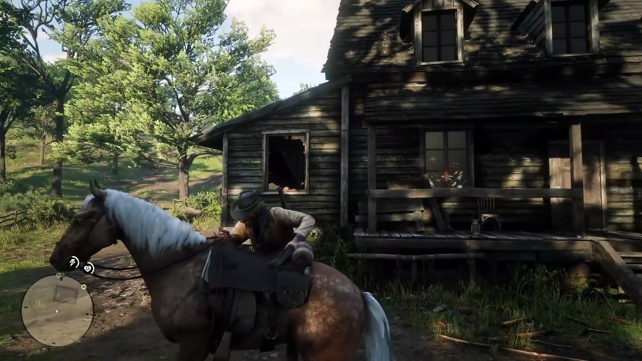 43. Players Ignore This NPC & Miss These in Red Dead Redemption 2
