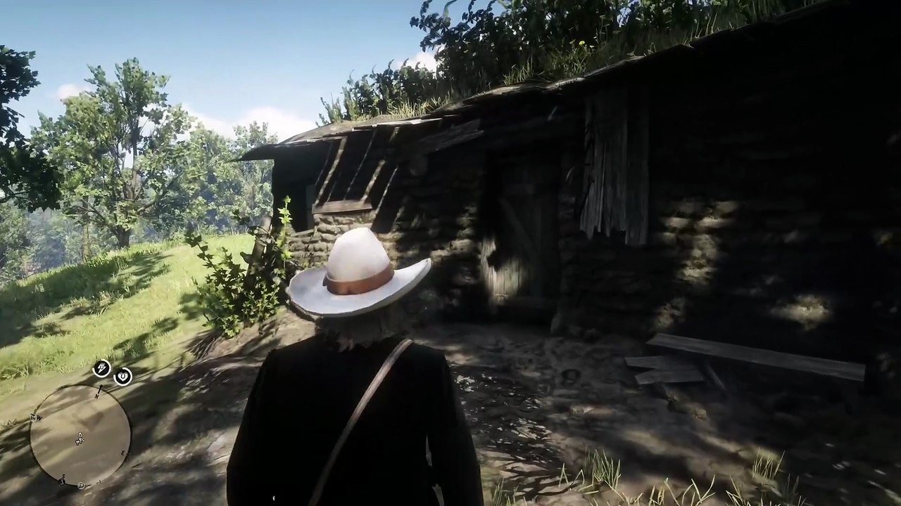 48. Players Ignore This NPC & Miss This Item in Red Dead Redemption 2