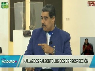 Vpdta. Sectorial Gabriela Jiménez: Descubrimientos paleontológicos nos ponen en sintonía con la vida