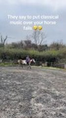 Woman Falls as Horse Stops Abruptly at Hurdle