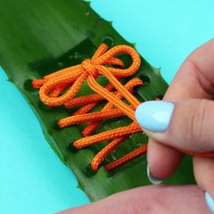 Aloe vera hacks you should try soon!