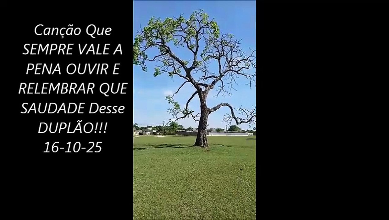 Canção Que SEMPRE VALE A PENA OUVIR E RELEMBRAR QUE SAUDADE Desse