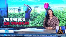 Emisión Estelar de Telenoticias con Suzan Castaño 16/10/2025