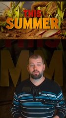 Grounded 2 c'est le 1 en mieux mais si vous n'avez pas aimé le 1 ... baaaah .... ça sera pareil ici ....