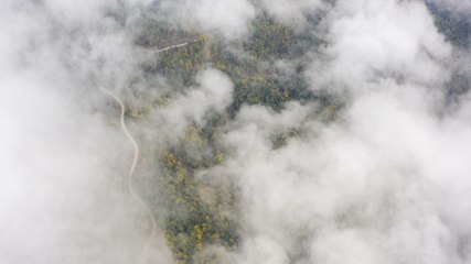 Bu yolda seyahat etmek ayrı keyifli! Sisle kaplanan orman denizi