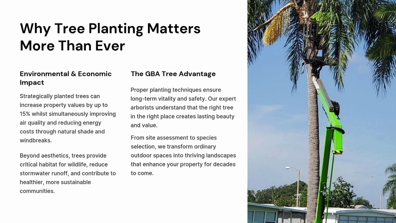 Leaf Your Worries Behind Expert Tree Planting Services by GBA Tree
