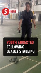 Fourteen-year-old nabbed over fatal stabbing of girl in Bandar Utama